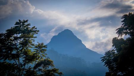 Тур Sigiriya - Kandy - Nuwara Eliya - Hatton - Parque nacional Udawalawe - Bentota - Фото 5
