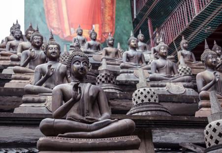 Тур Colombo - Dambulla - Kandy - Nuwara Eliya - Parque Nacional de Yala - Фото 1