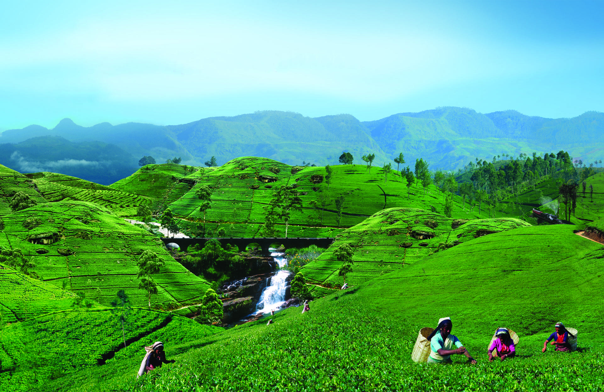 El viaje Colombo - Dambulla - Sigiriya - Polonnaruwa - Dambulla - Kandy - Nuwara Eliya - Ella - Parque Nacional de Yala - Galle - Colombo, saliendo de 