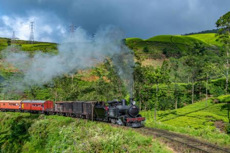 Тур Dambulla - Kandy - Nuwara Eliya - Colombo - Фото 4
