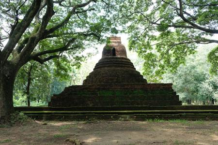 Тур Colombo - Dambulla - Sigiriya - Polonnaruwa - Dambulla - Kandy - Nuwara Eliya - Ella - Parque Nacional de Yala - Galle - Colombo - Фото 1