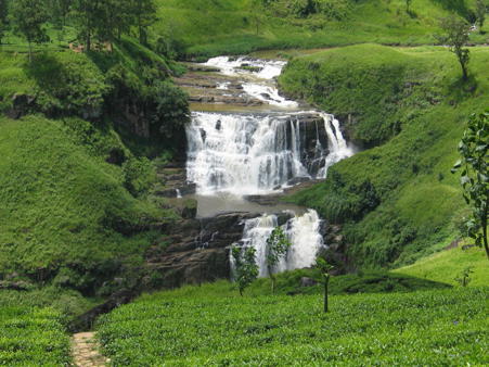 Тур Kandy - Nuwara Eliya - Bentota - Colombo - Фото 2