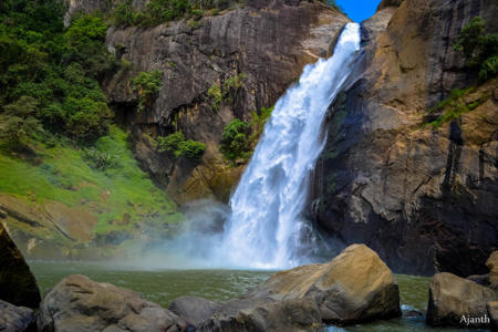 Тур Sigiriya - Kandy - Nuwara Eliya - Hatton - Parque nacional Udawalawe - Bentota - Фото 3