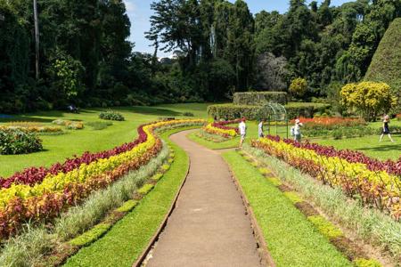 Тур Kandy - Nuwara Eliya - Bentota - Colombo - Фото 1